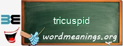 WordMeaning blackboard for tricuspid